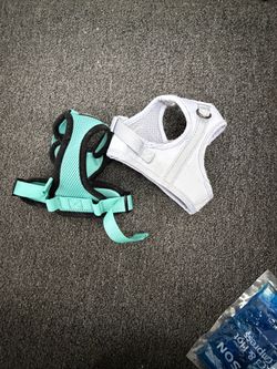 Pet harness