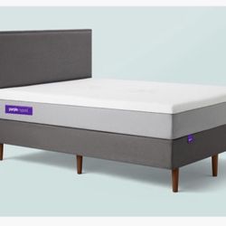 Purple Bed Frame King - Charcoal Grey