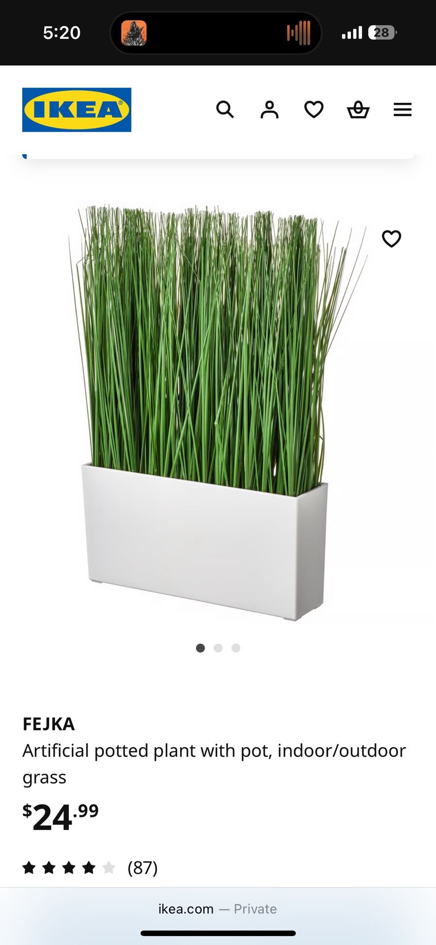 IKEA Grass Plant Decor