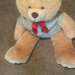 Large Teddy Bear