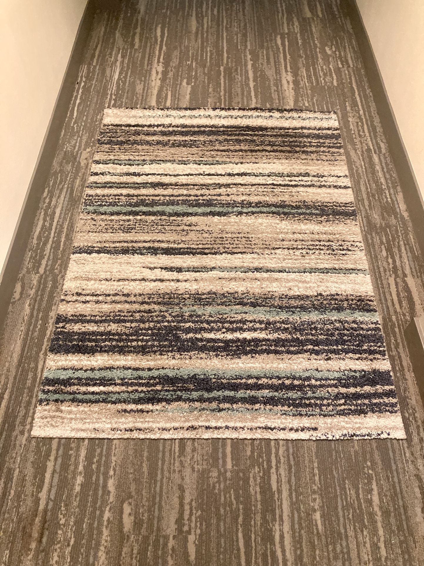 Area Rug