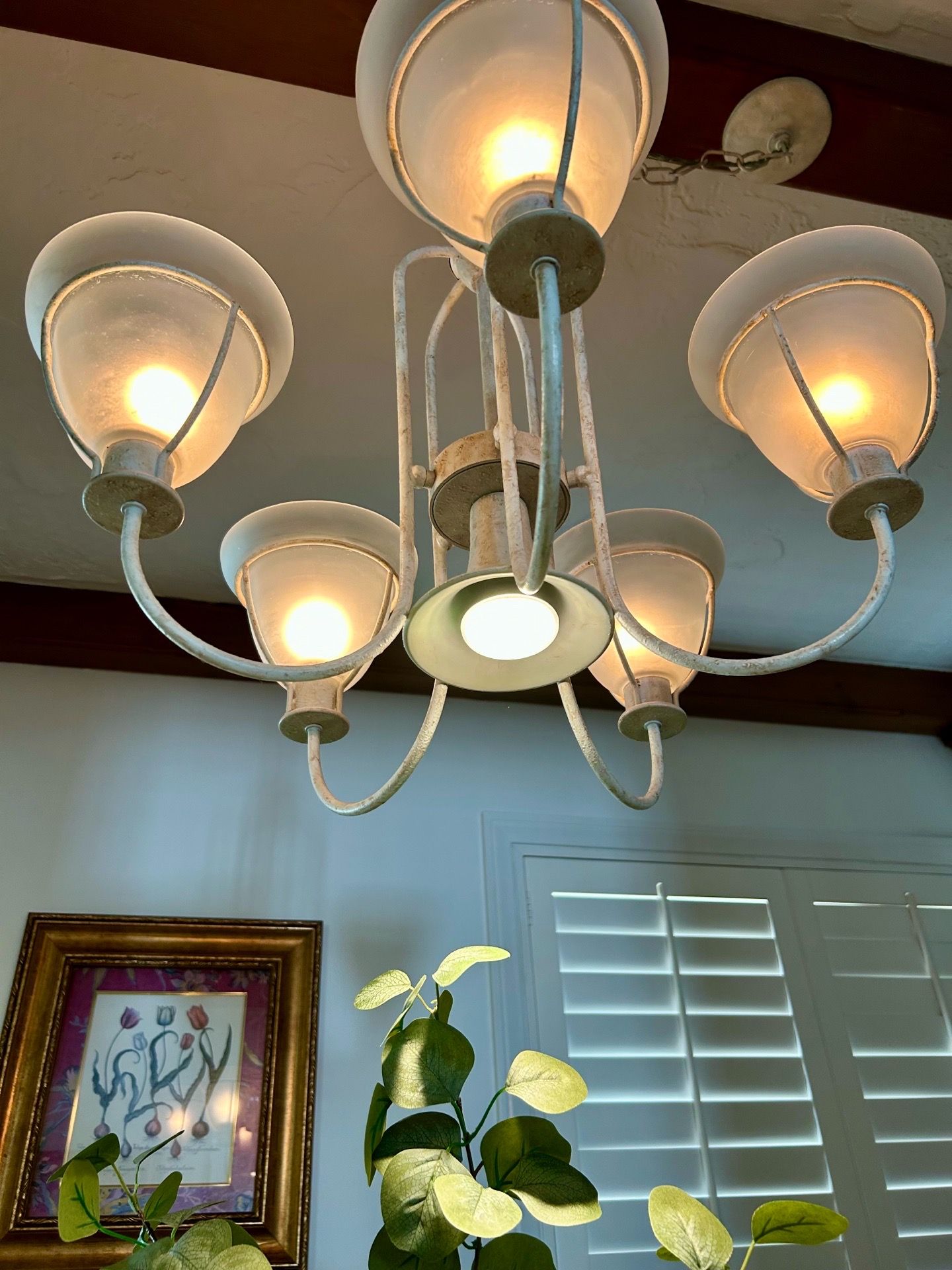Lamps Plus chandelier