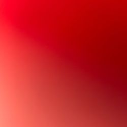 Michael Kors purse and wallet