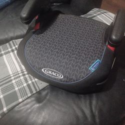Graco Booster Seat <