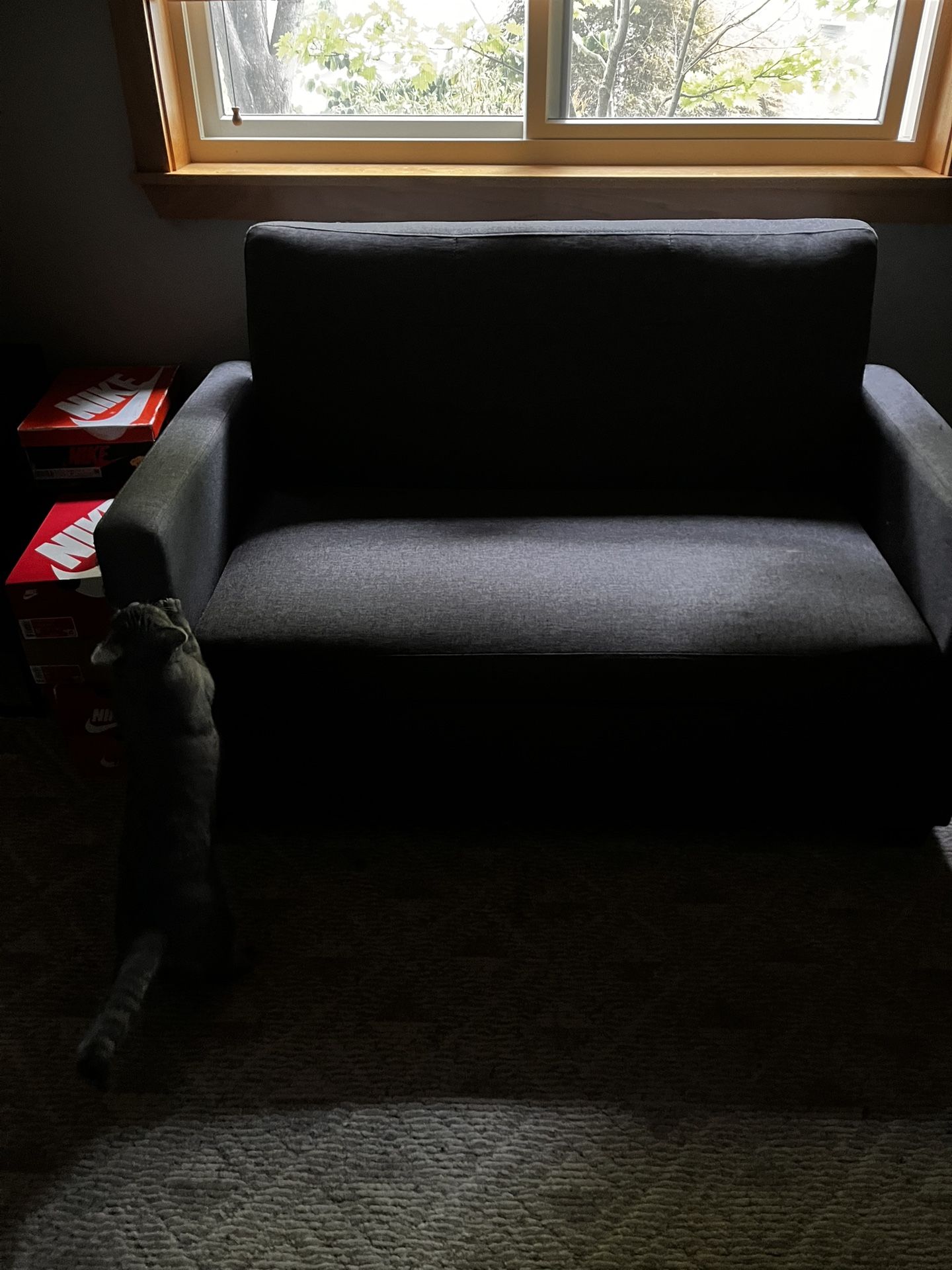 Pull Out Bed Couch