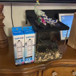 Fish Tank 