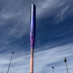 Easton Advanced Twilight Bat 33/32