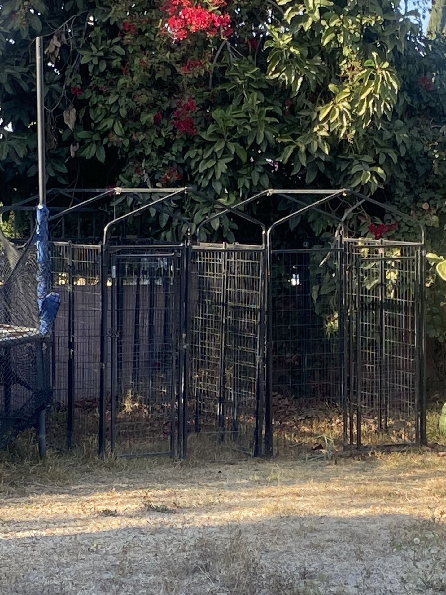 Cages Houses For Dogs Or Pets