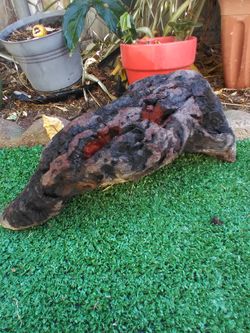 Driftwood For Aquariums Terrariums Decor Etc