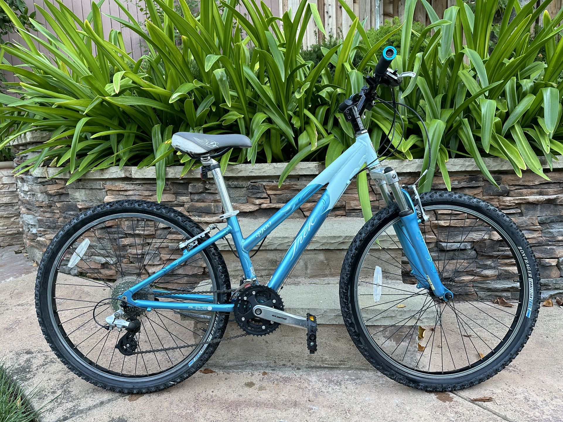 Trek 3900 WSD Bike