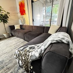 Sectional Grey Couch 