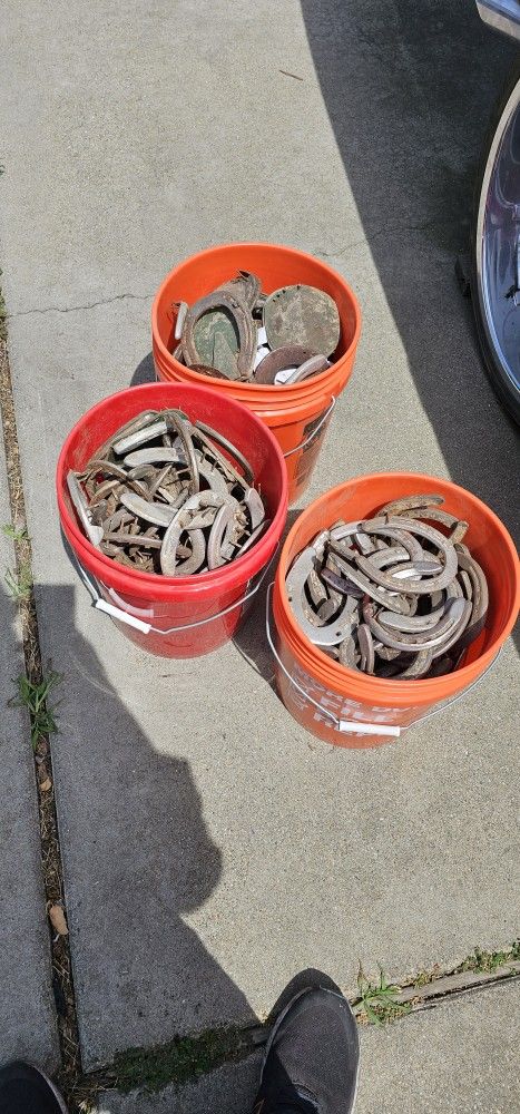 Horse Shoes