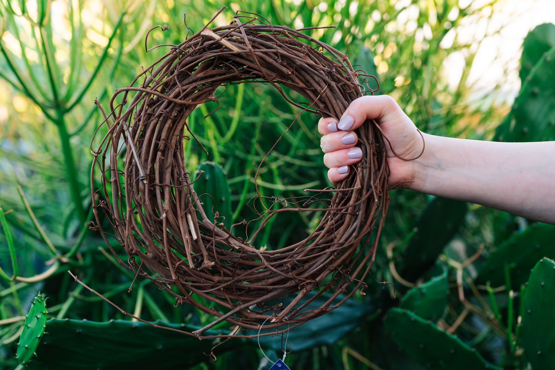 12" Grapevine Wreath NEW (QTY 5)