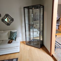 Contemporary Glass Cabinet