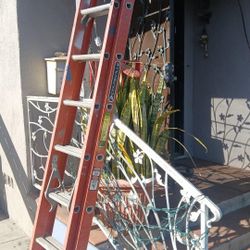 Ladder 16ft