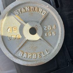 45lb Weight Plate 2 Inch Hole 
