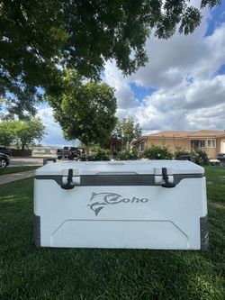175$$  amazing 🤩 ice chest COHO (FREE DELIVERY