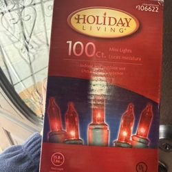 Mini Chirstmas Lights