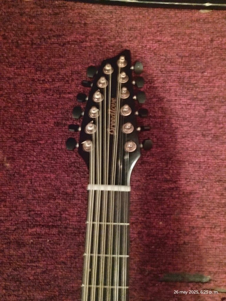 12 String Guitar
