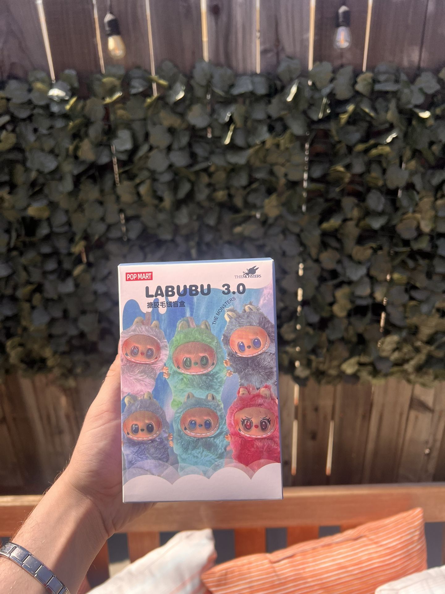 RARE! Labubu 3.0 Mystery Box