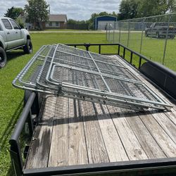 Chain Link Dog Kennel 