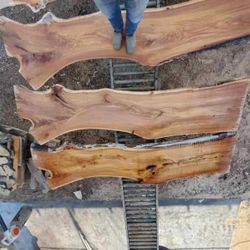 Beautiful Rare Blonde Chinese Elm Planks