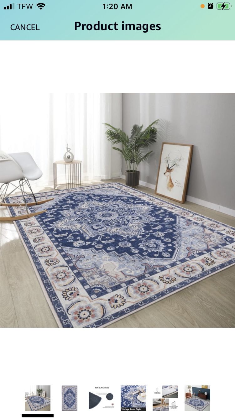 Wiemina Area Rug 3x5