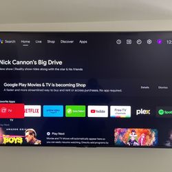 65 Inch Sony Bravia Tv