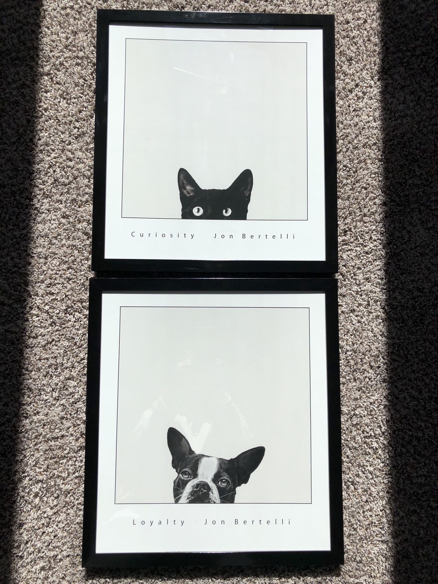 Framed Art Print 'Curiosity and Loyalty Jon Bertelli Black White