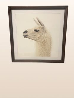 Pottery Barn Llama Artwork by Jennifer Meyers