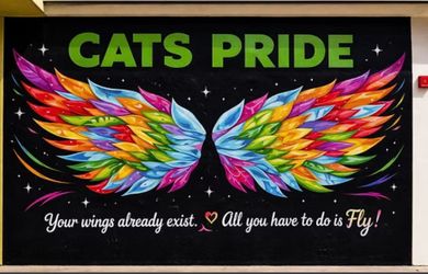 Custom murals creations hand painted with brush