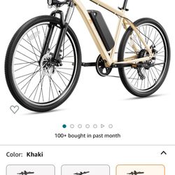 Jason EB5 Electric Bike