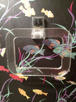 Hand Towel Rack Mirror/Acrylic