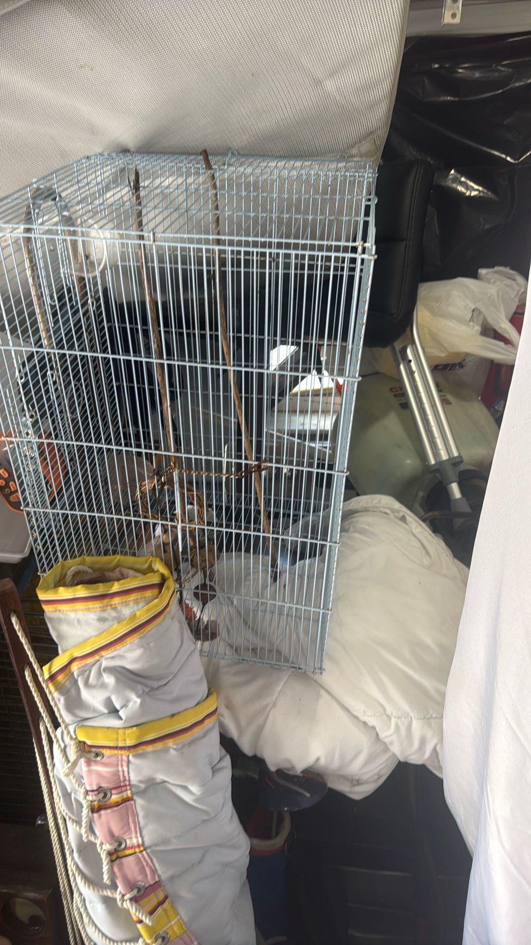 Bird Cage