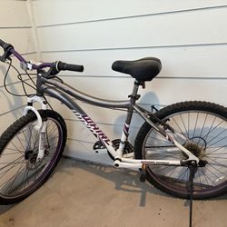 Purple and white bike