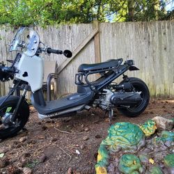 Honda Ruckus
