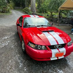 2003 Ford Mustang