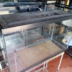 Fish Tank  40 Galones