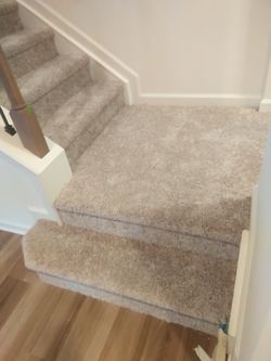 Carpet