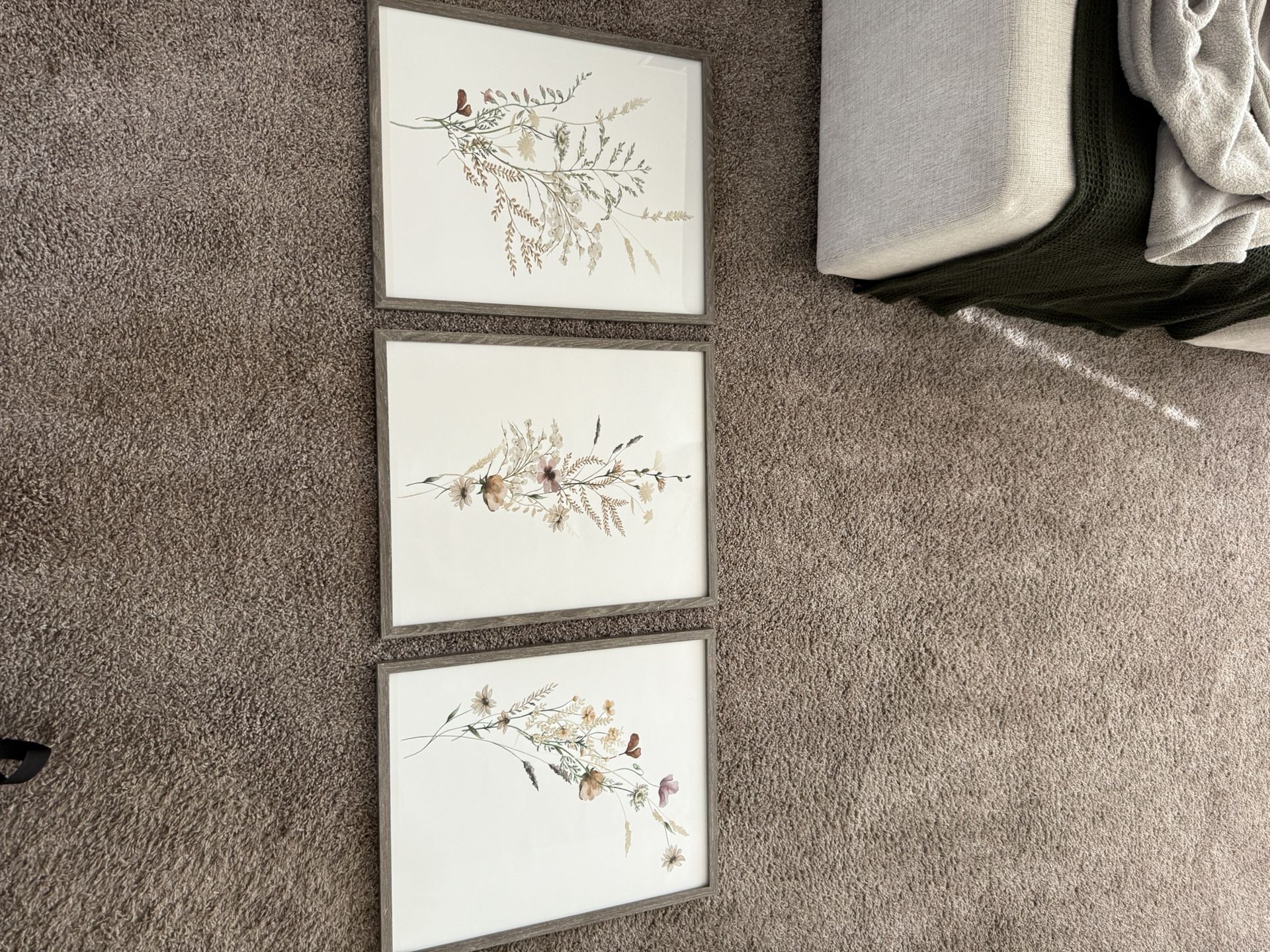 Set Of 3 Picture Frames