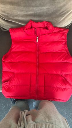 The north face puffer vest