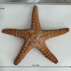 Shabby Terracotta & White Hanging Resin Starfish 