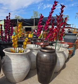 🌸Gorgeous New Designs Have Arrived🪴
Metal yard Art Imports🌵PLANTERS