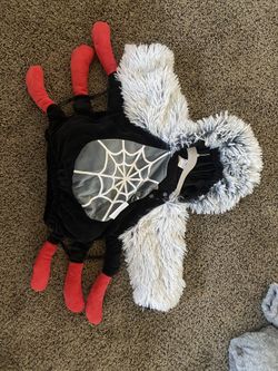 Spider Costume