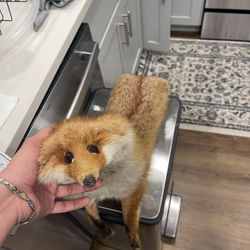 High Quality Fox Tanned Pelt - Vintage