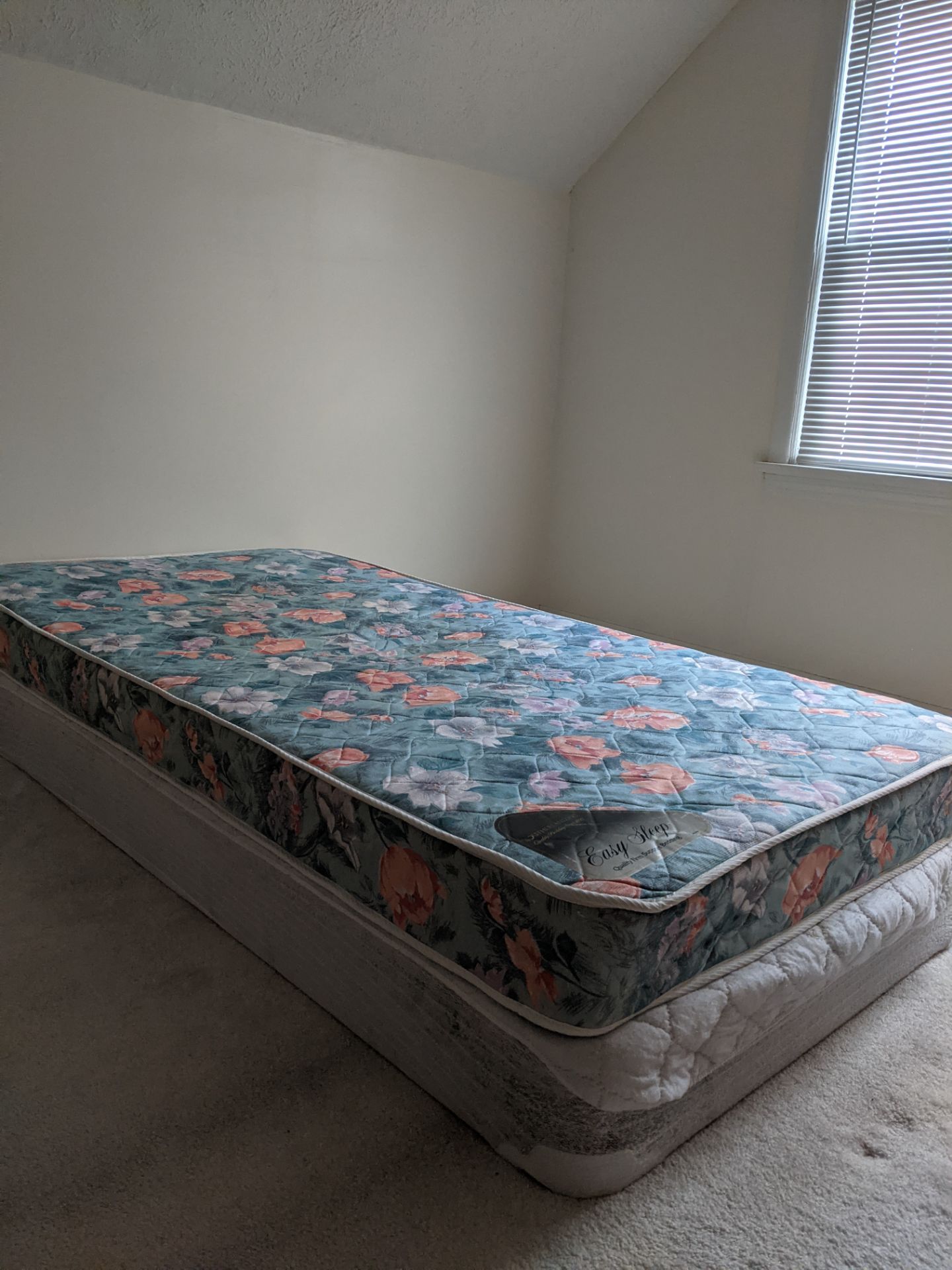 Twin Size Mattress and Spring Box
Excellent condition.
Pickup only in Mayfield Heights. Thanks.