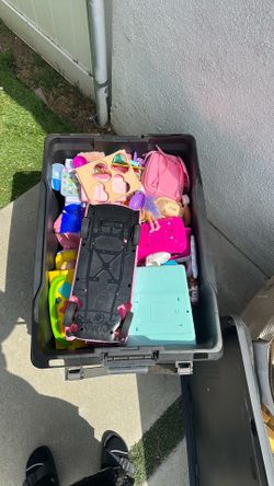Entire Bin of toys