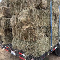 Local Hay 