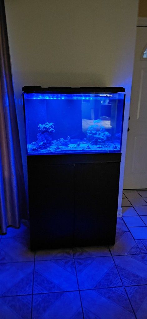 50 Gallon Saltwater Tank