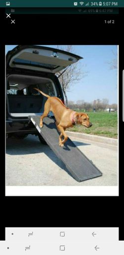 Study for big dogs ramp